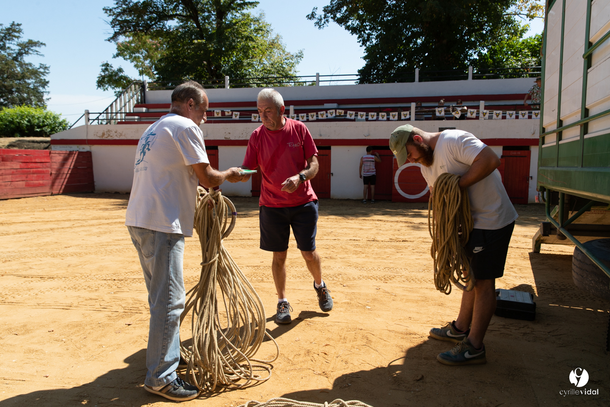 Course landaise à Panjas