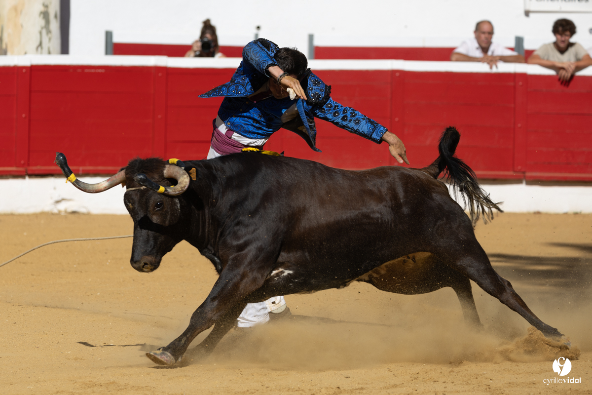 Nogaro Corne d'Or 2023