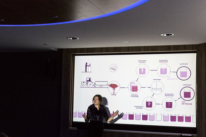 Cave de Labastide de Lévis