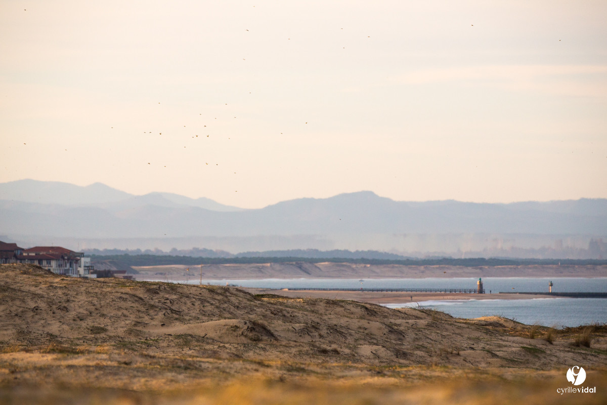 Océan Capbreton - Hossegor et Lac