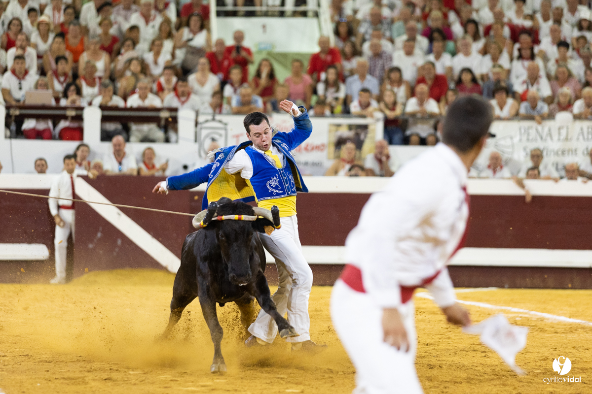 Dax concours landais 2022