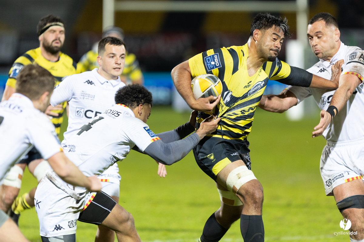 Stade Montois Rugby - Provence