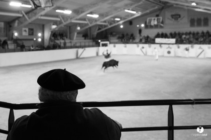 Horsarrieu course landaise du boléro d'Argent