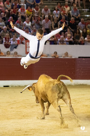 Landes émotions à Aire-sur-l'Adour