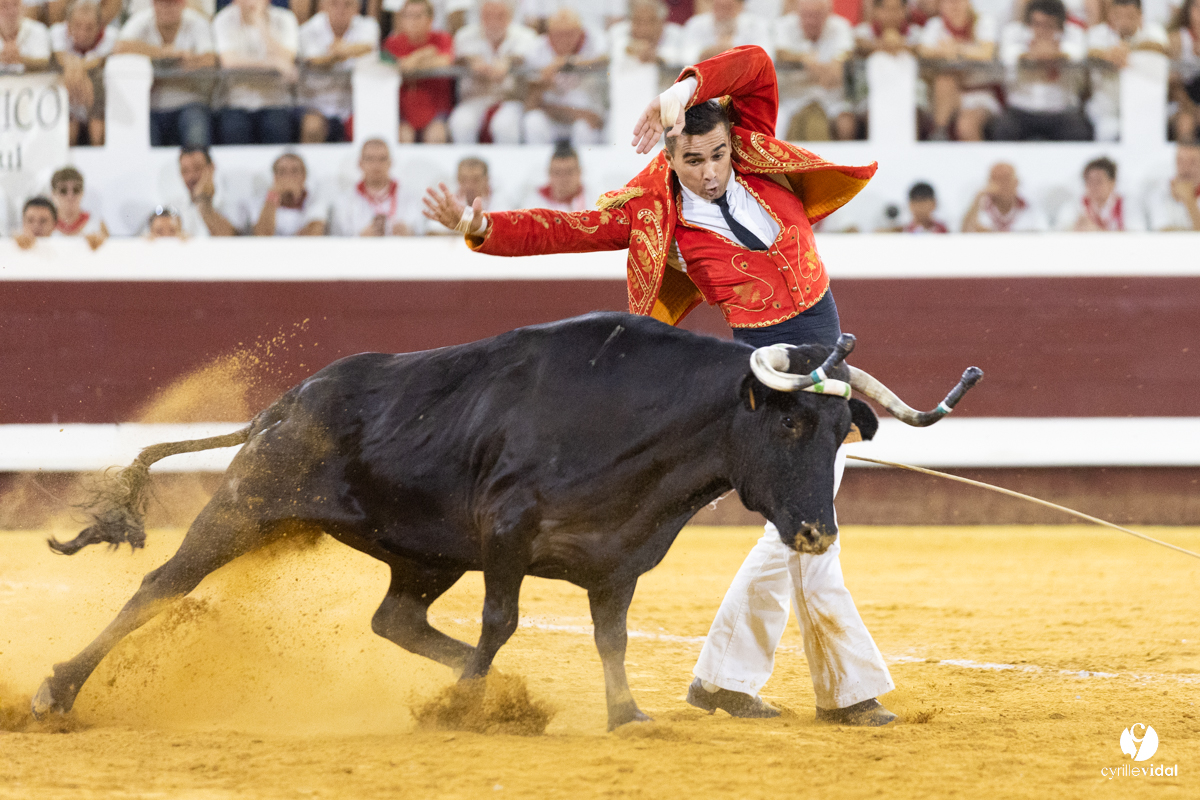 Dax concours landais 2022