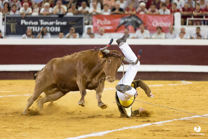 Dax concours landais 2022