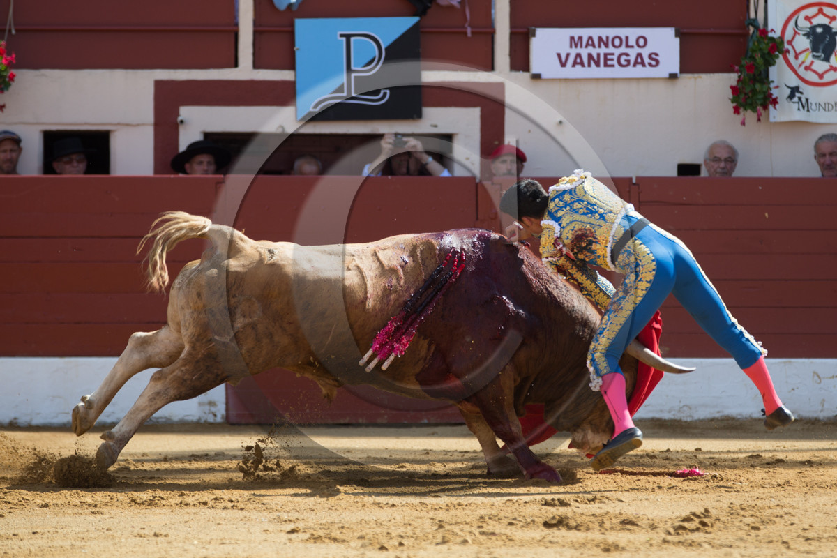 corrida, toro, vic fezensac, alcurrucen, michelito, morenito de aranda