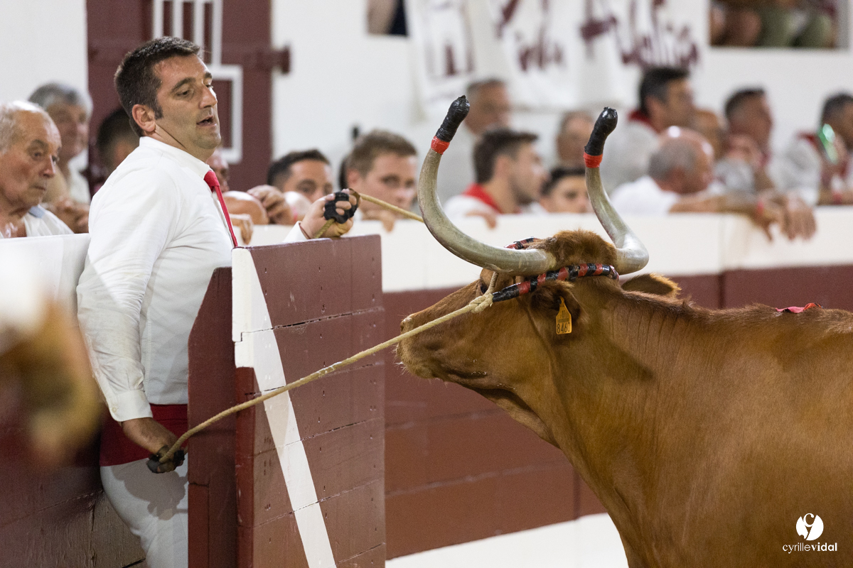 Dax concours landais 2022