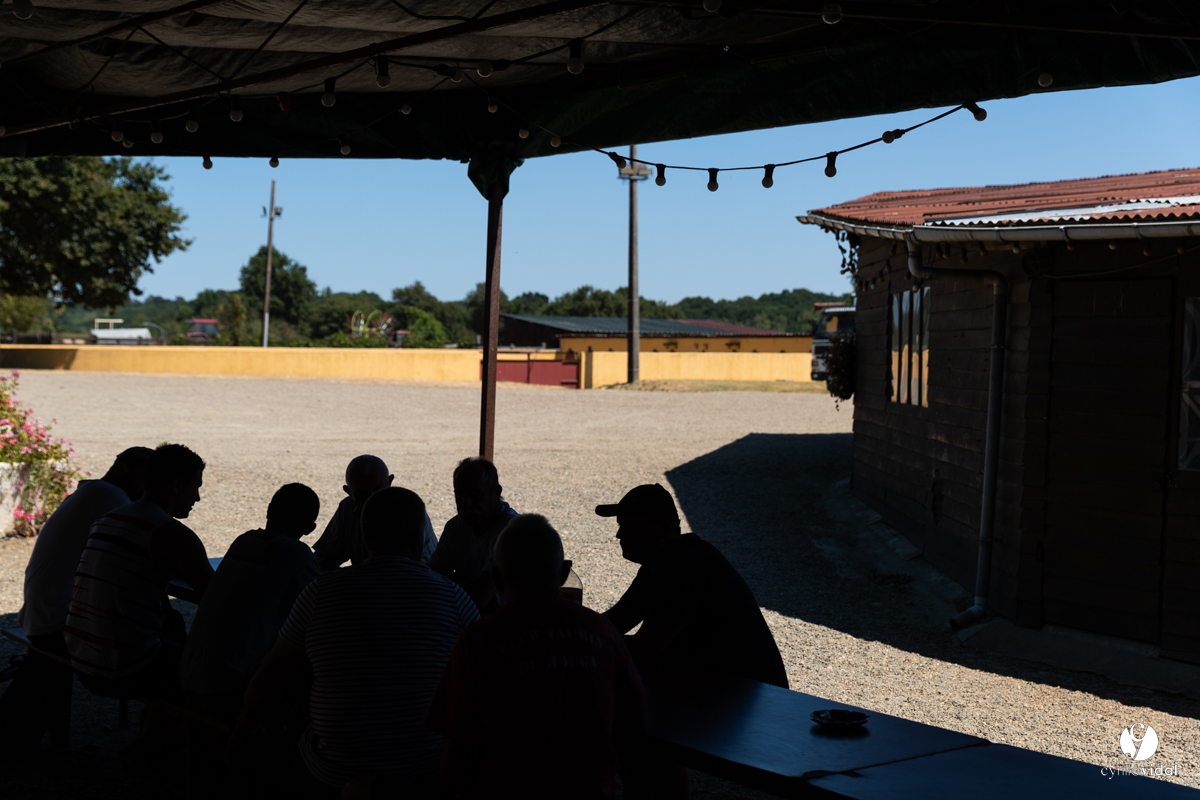 Course landaise à Panjas