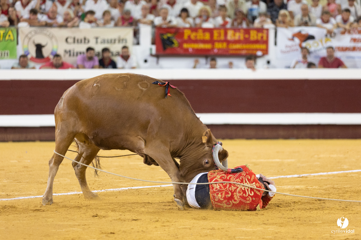 Dax concours landais 2022