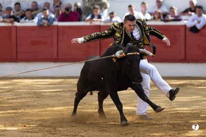 Nogaro Championnat de France de course landaise 2022