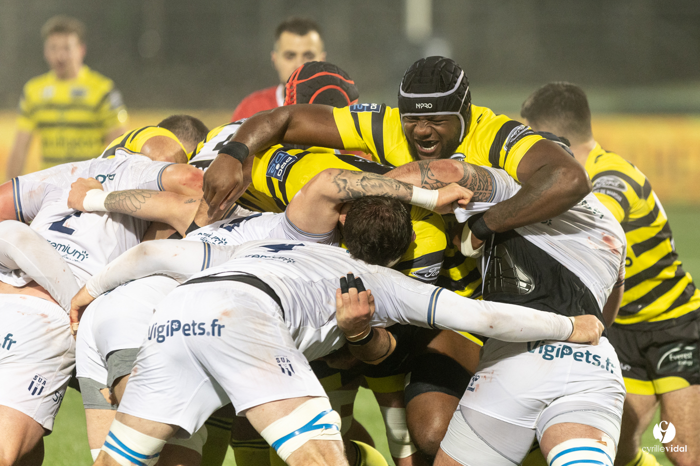 Stade Montois Rugby - Agen