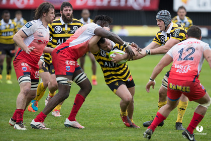 Stade Montois Rugby - Grenoble