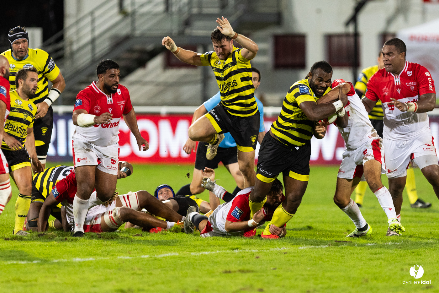 Biarritz - Stade Montois rugby pro
