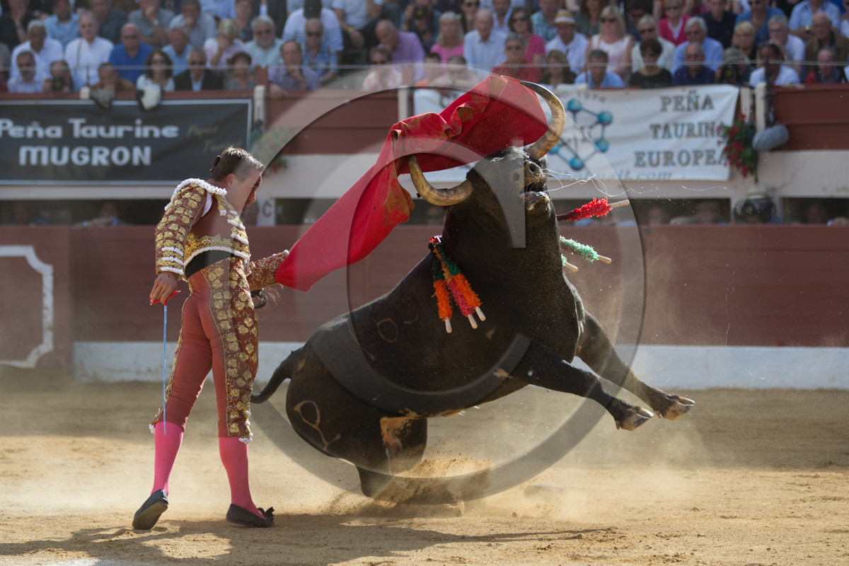 corrida, toro, vic fezensac, alcurrucen, michelito, morenito de aranda