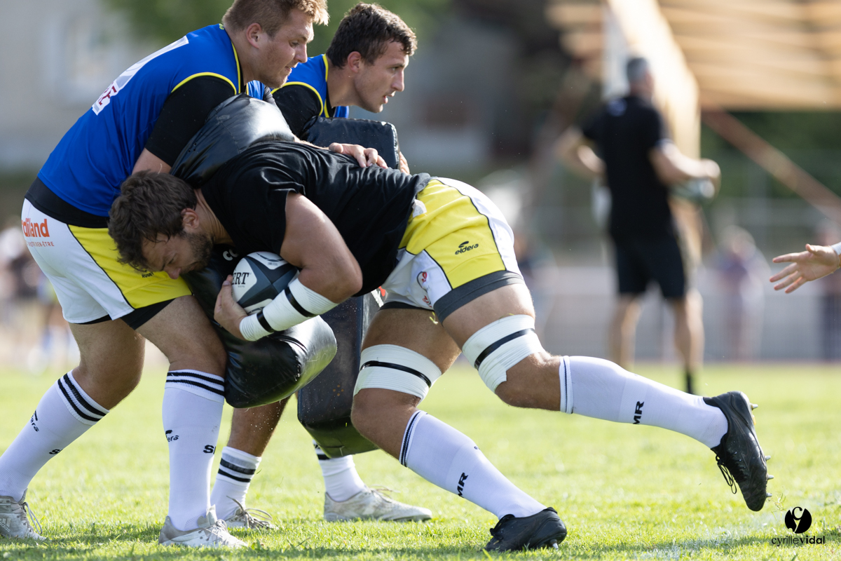 Stade Montois Rugby - Section Paloise