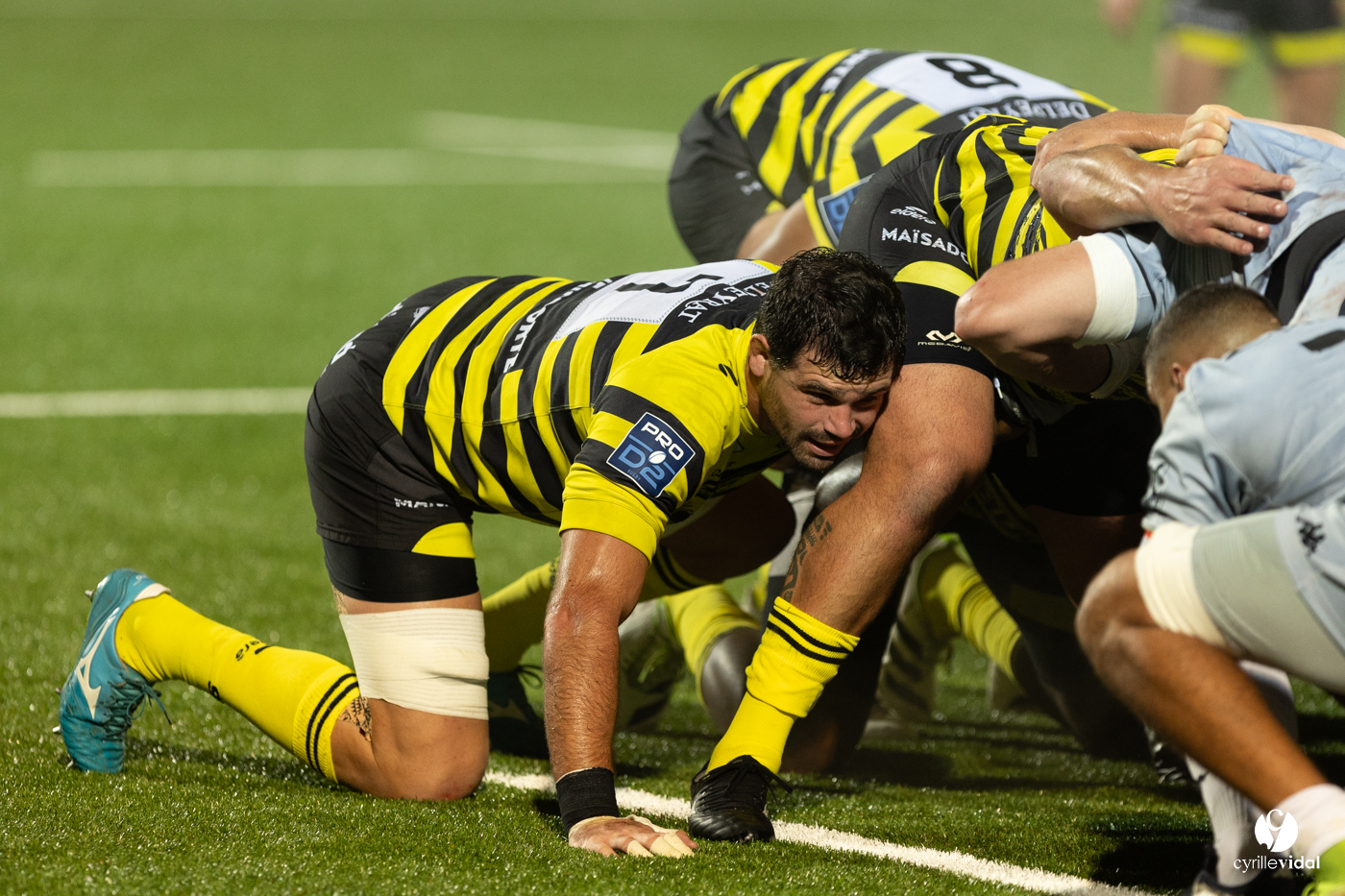 Stade Montois Rugby - Provence