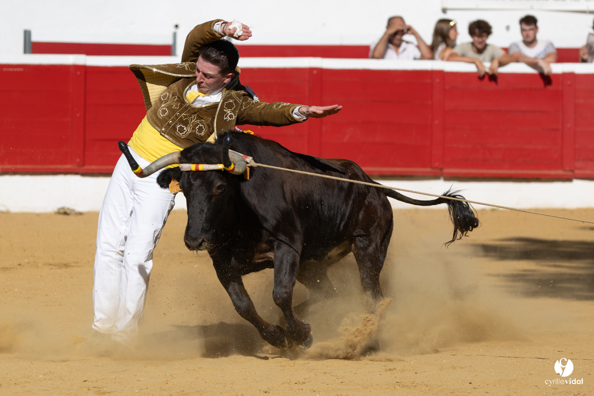 Nogaro Corne d'Or 2023