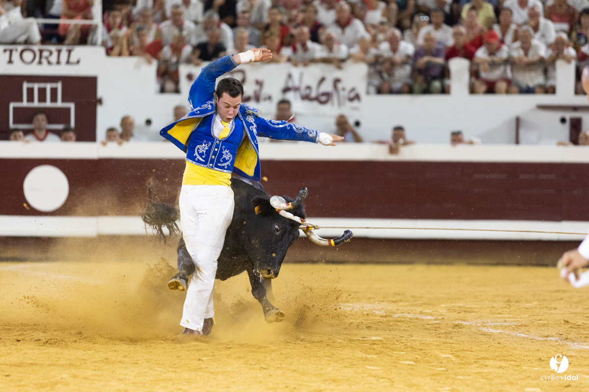 Dax concours landais 2022