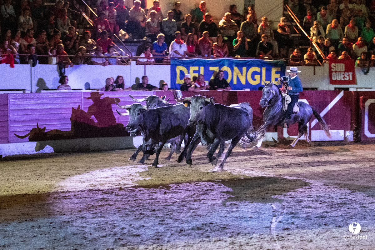 Landes émotions à Aire-sur-l'Adour