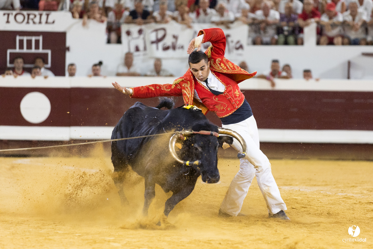 Dax concours landais 2022