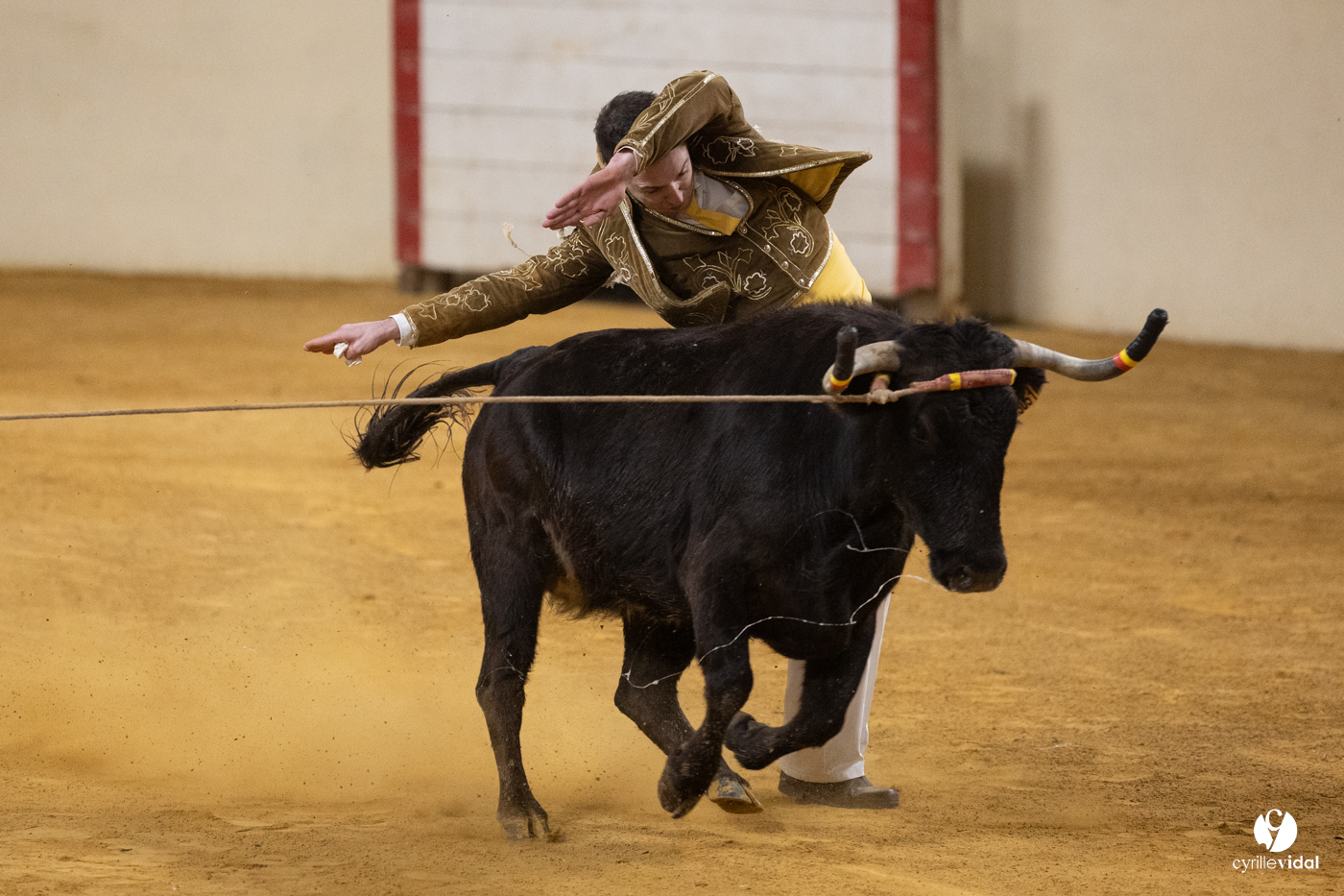 Horsarrieu course landaise du boléro d'Argent