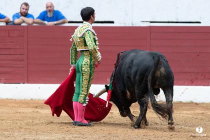 Corrida d'Aire sur l'Adour