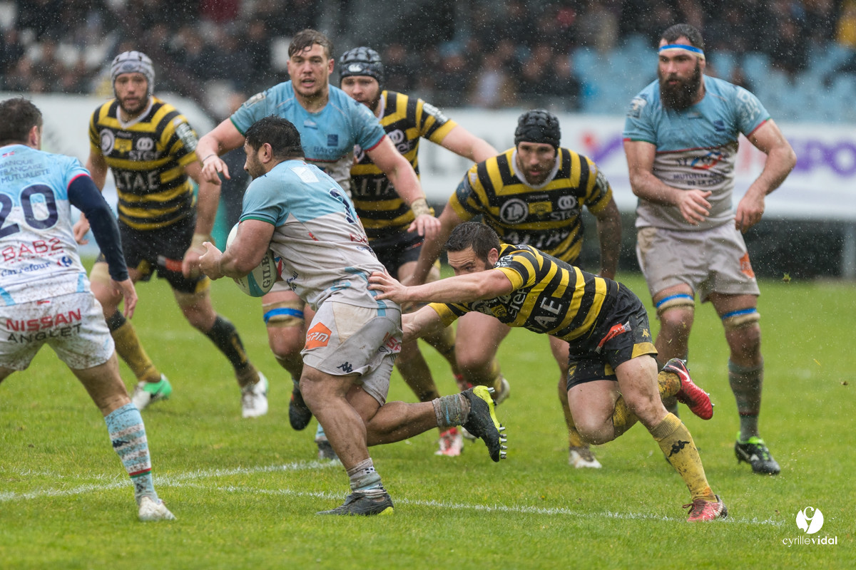 Bayonne - Stade Montois