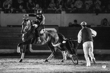 Landes émotions à Aire-sur-l'Adour