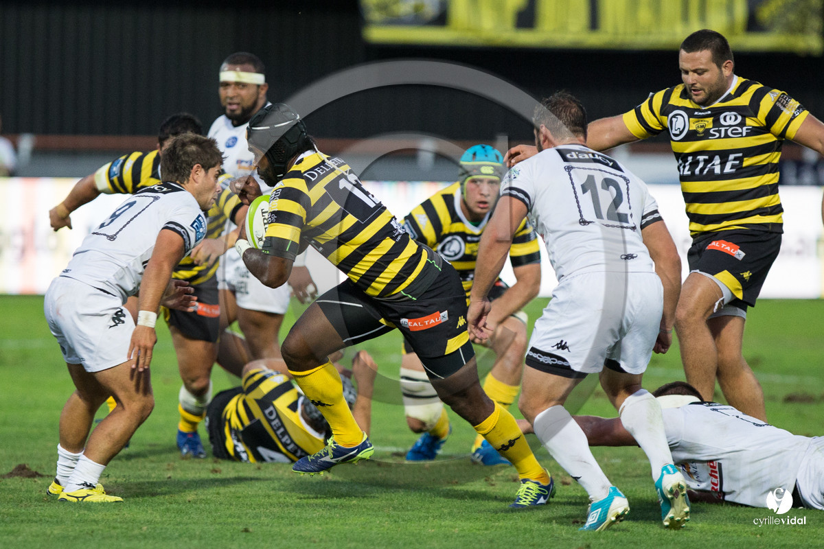 Rugby STADE MONTOIS - VANNES