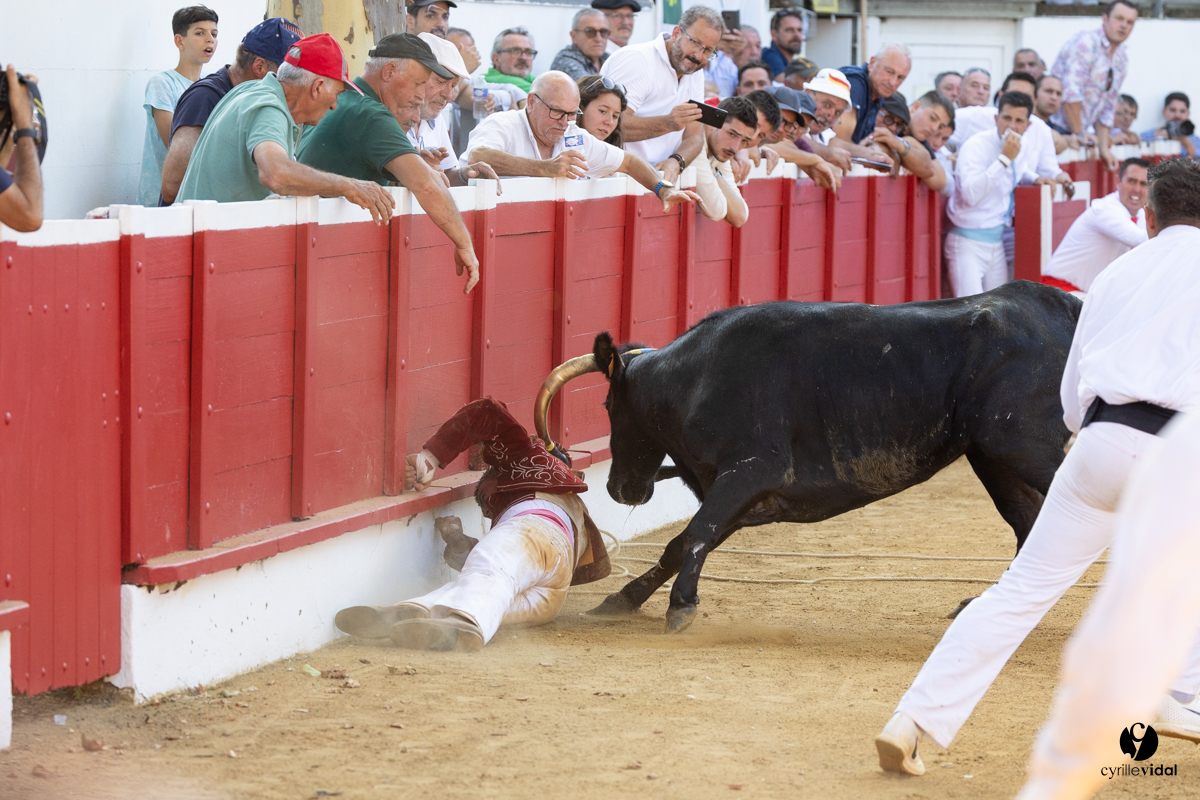 Nogaro Corne d'Or 2023