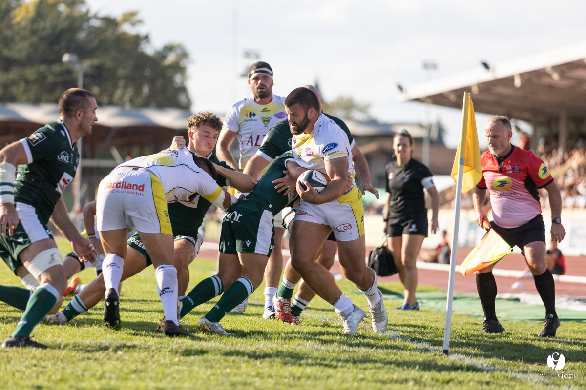 Stade Montois Rugby - Section Paloise