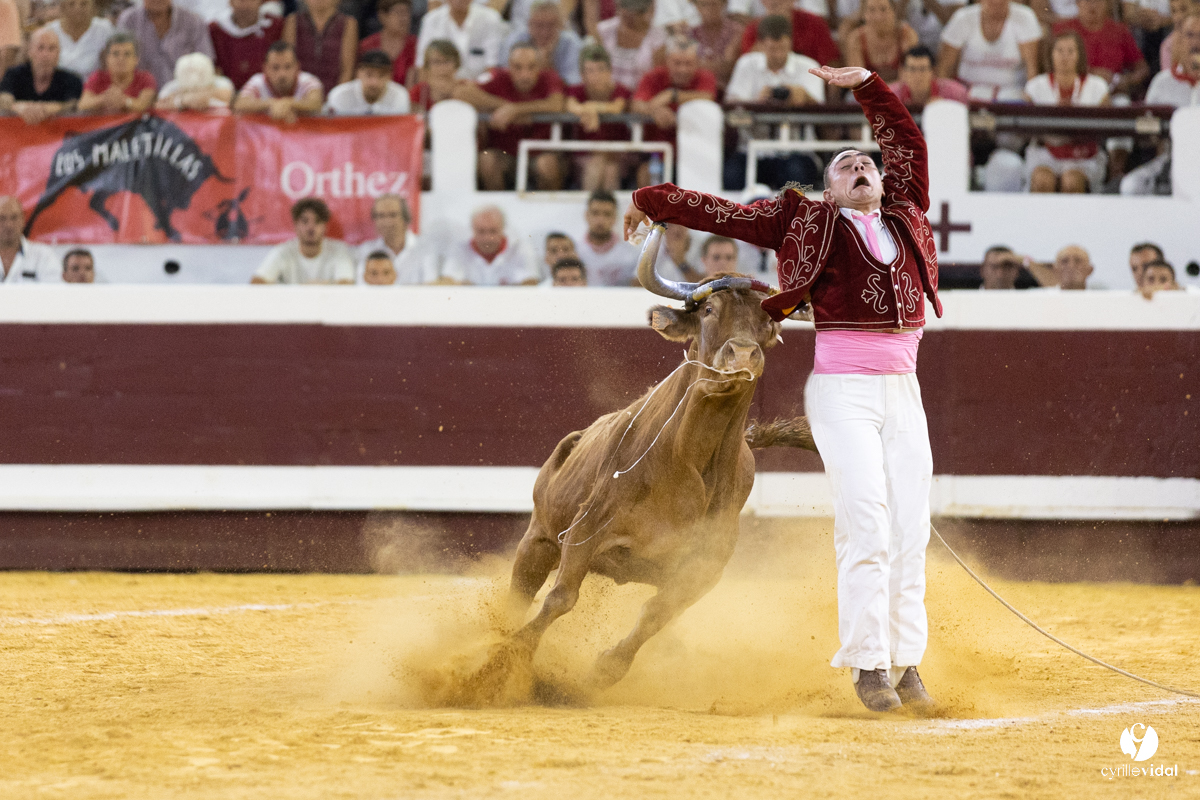 Dax concours landais 2022