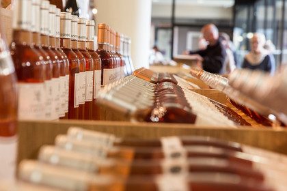 Cave de Labastide de Lévis