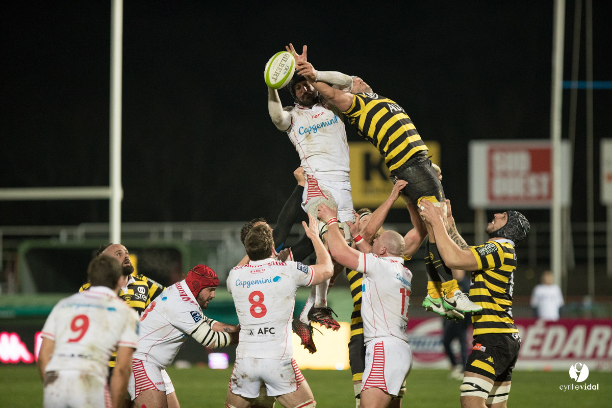 Stade Montois Rugby - Biarritz