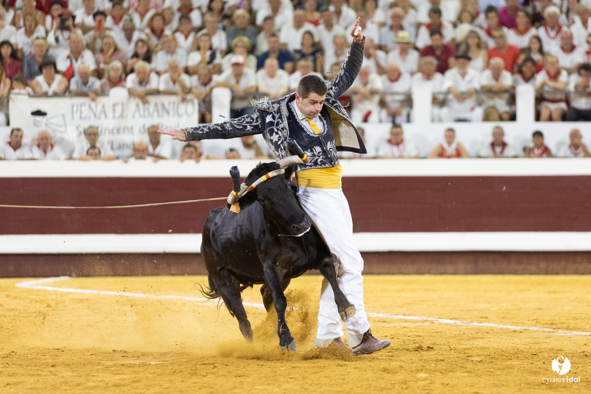 Dax concours landais 2022