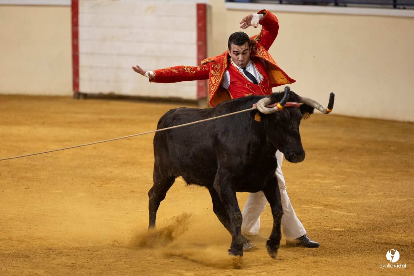 Horsarrieu course landaise du boléro d'Argent