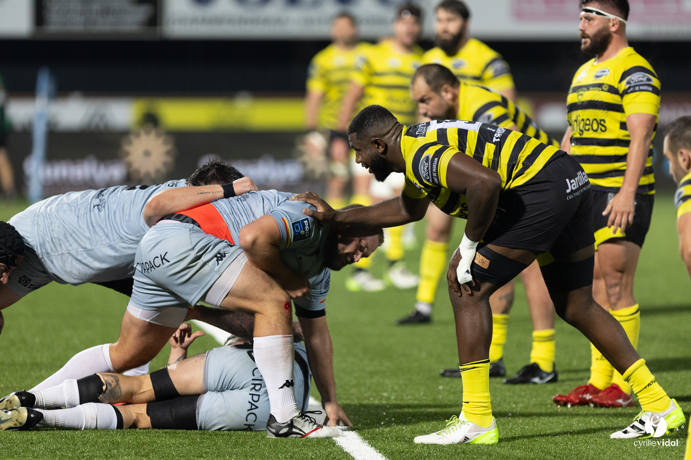 Stade Montois Rugby - Provence